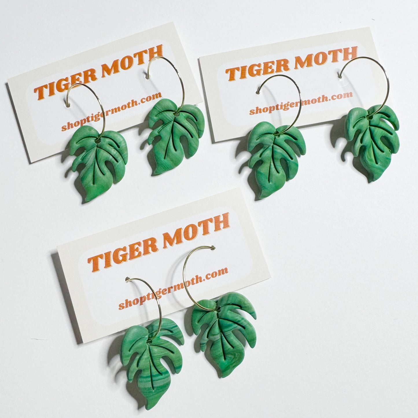 Monstera Leaves